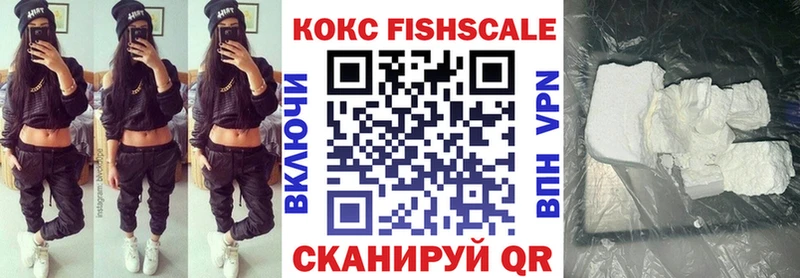 COCAIN FishScale  как найти закладки  Новоалександровск 