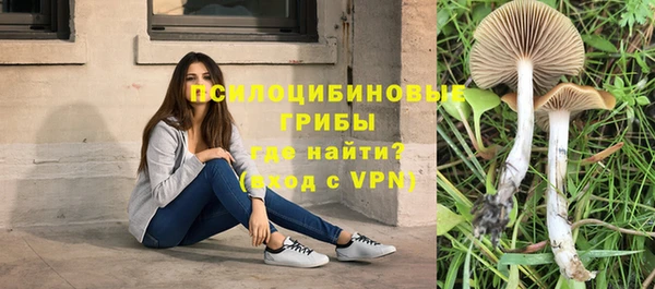PSILOCYBIN Нея