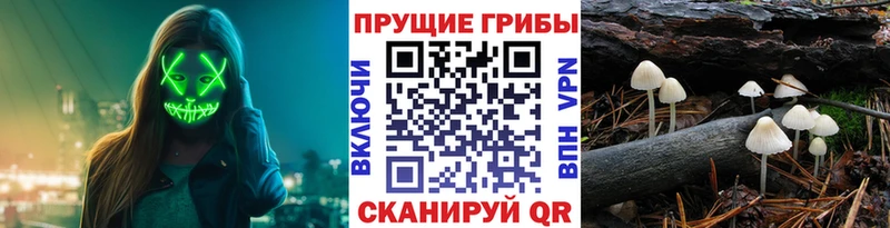 Галлюциногенные грибы ЛСД Новоалександровск