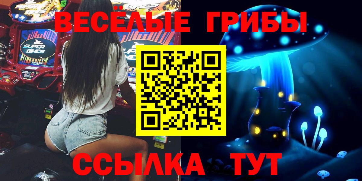 Псилоцибиновые грибы Cubensis  Псилоцибиновые грибы мухоморы  Вход с VPN  купить наркотики сайты  Новоалександровск 