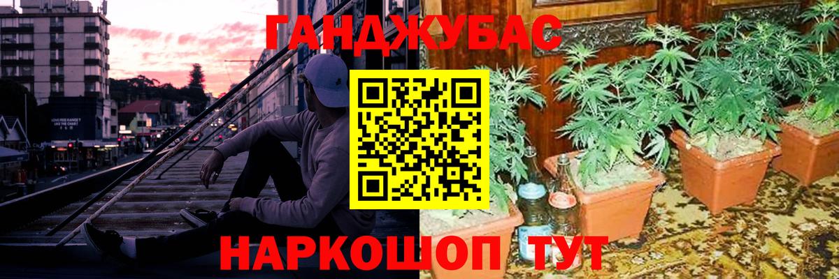 Новоалександровск  Конопля план  Каннабис SATIVA & INDICA  Вход с VPN  МАРИХУАНА Bruce Banner 